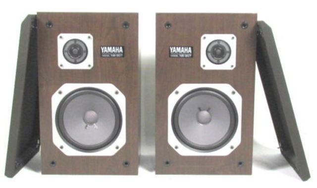 The Natural Sound Speaker - The natural sound speaker was created by Yamaha in 1967. They work on this speaker a lot, still trying to make it better than it already is.
