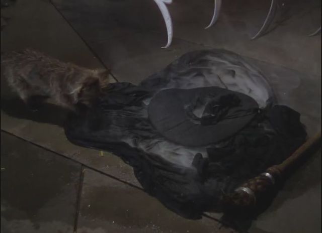 Dorothy melts the wicked witch of the west