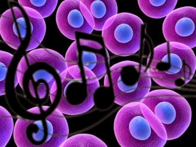 Se demuestra la actividad eléctrica en células nerviosas.