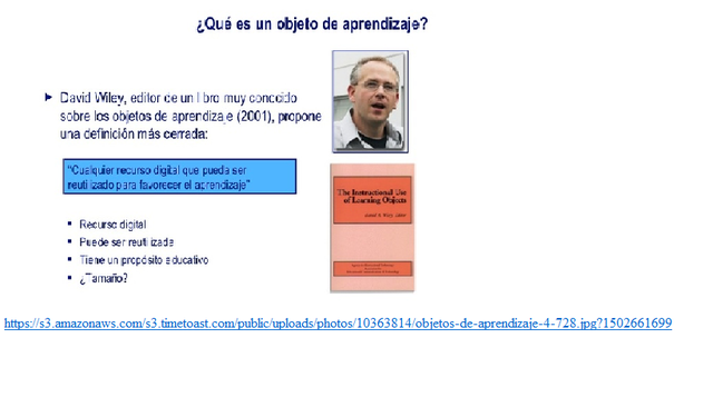 Willey (1994). Término “Objeto de Aprendizaje” .