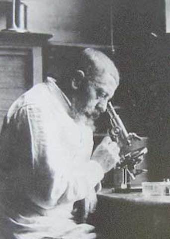 Joseph Jules Dejarine