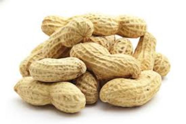 George Washington Carver