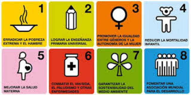 OBJETIVOS DEL DESARROLLO DEL MILENIO DE LA ONU