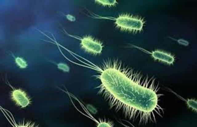 La creación de la vida