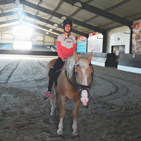 Кінний клуб