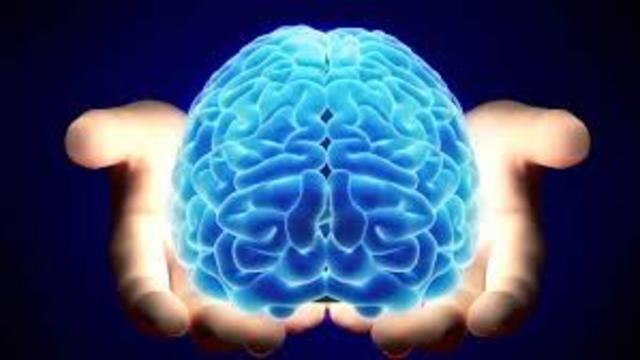 Surgimiento del primer cerebro, 520 millones atrás