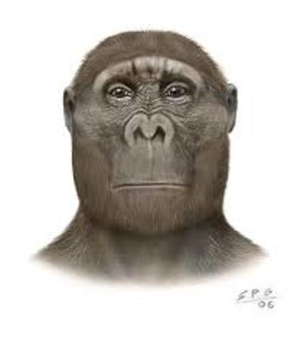 australopithecos,hace 4 millones años