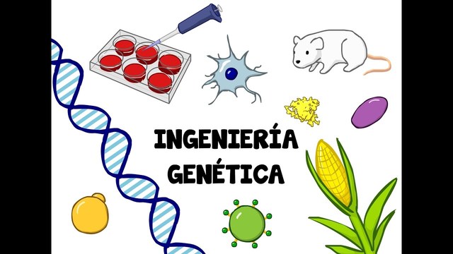 Ingenieria Genetica