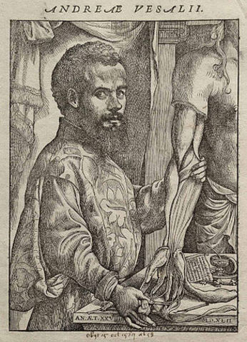 Vesalius