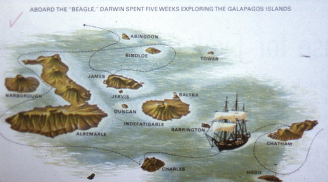 Goes to the Galapagos islands.  Notices difference between species on different islands.  Bases later theory on these observations