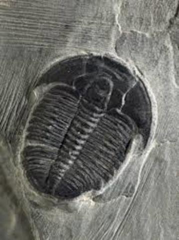 Libby: carbón fechador