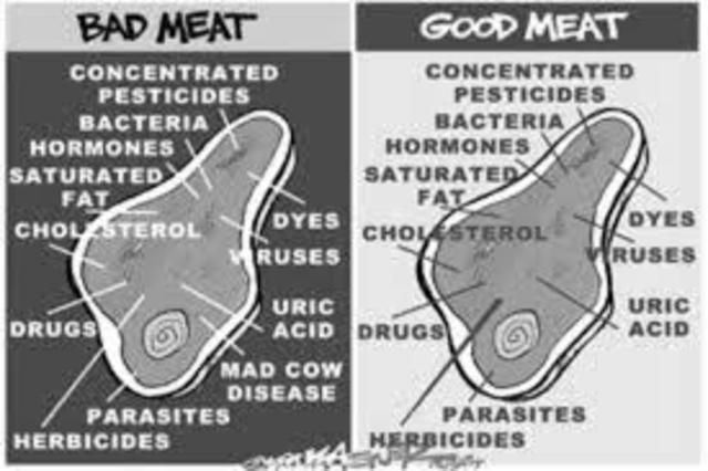 Meat Inspection Act (Progress)