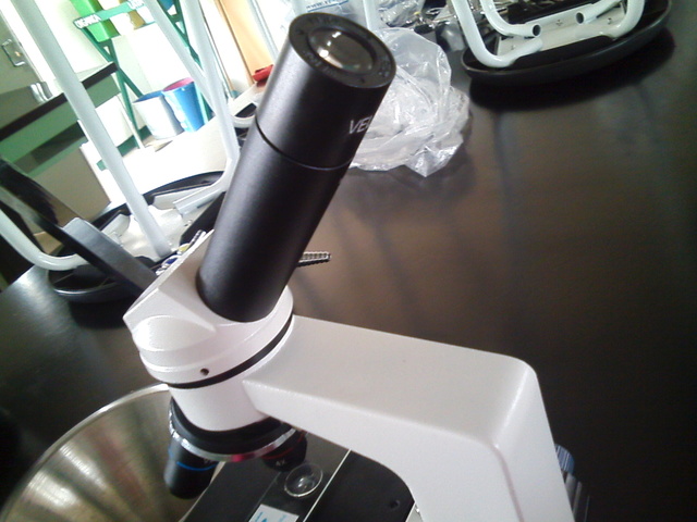 práctica de laboratorio