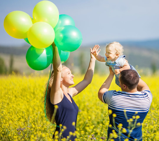 Levy y Anderson, 1980