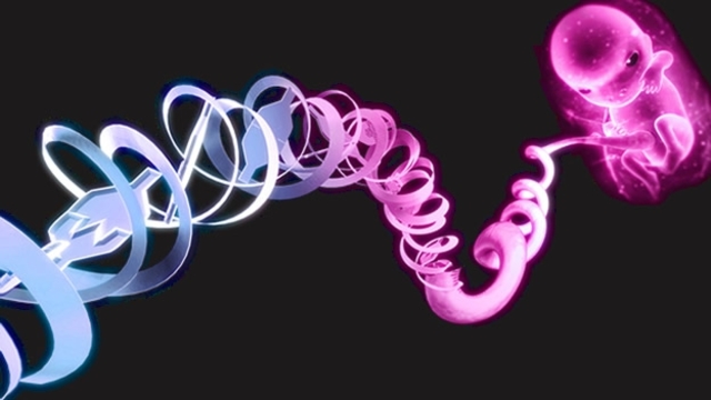 La herencia siglo XlX