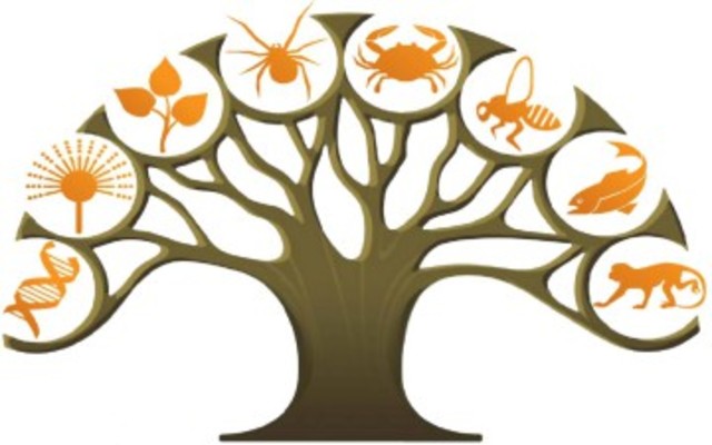 Biología evolucionista (1820-1903)