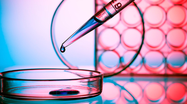 EDAD CONTEMPORÁNEA- Desarrollo De Primeros Embriones