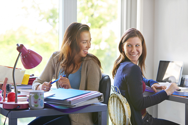 Misericordia University