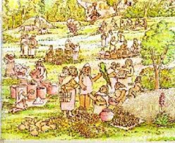 La Agricultura Muisca