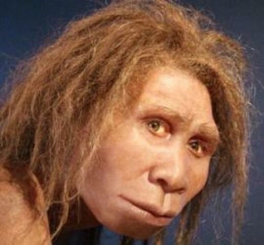 Homo de Neanderthal