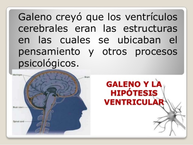 hipótesis cerebral galeno