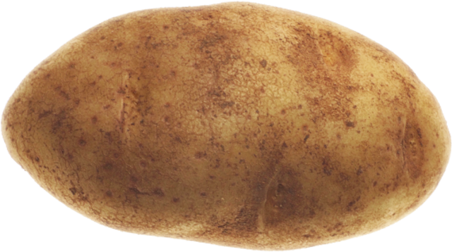 The Potato Famine begins in Ireland