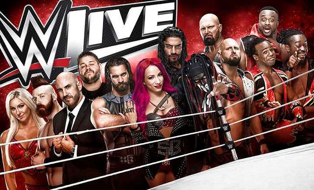 Yo vi mi primera WWE en vivo