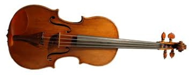 viola