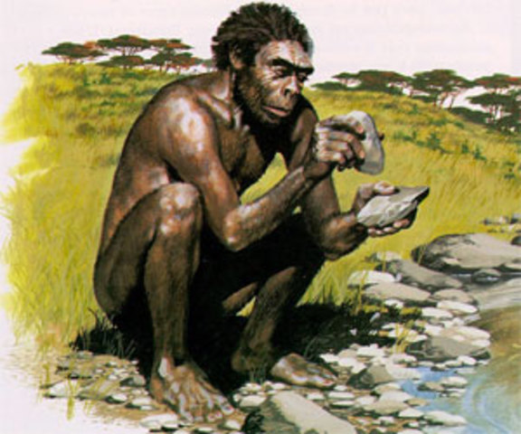Aparicion del homo habilis