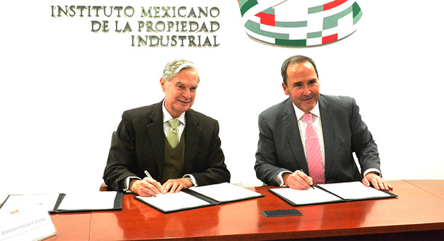 Fomento y Proteccion