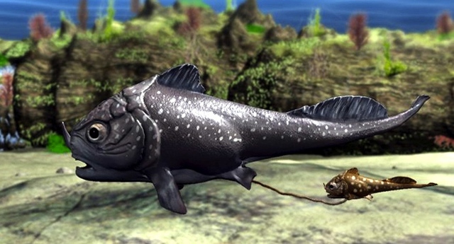 Fiskarnas utveckling