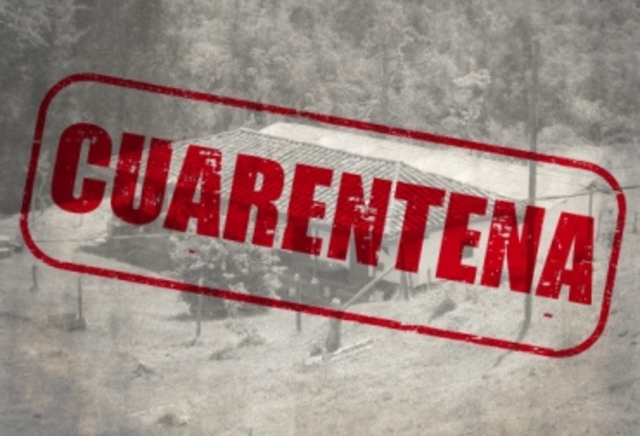 1348 Se comenzo a aplicar la cuarentena