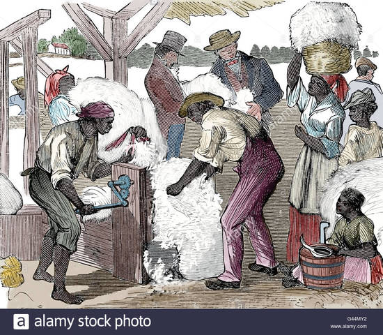 Eli Whitney and the Cotton Gin