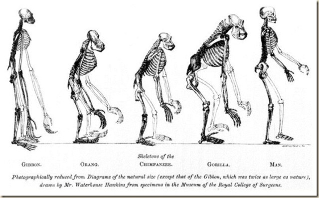 1.8 a 25 millones de años aprox