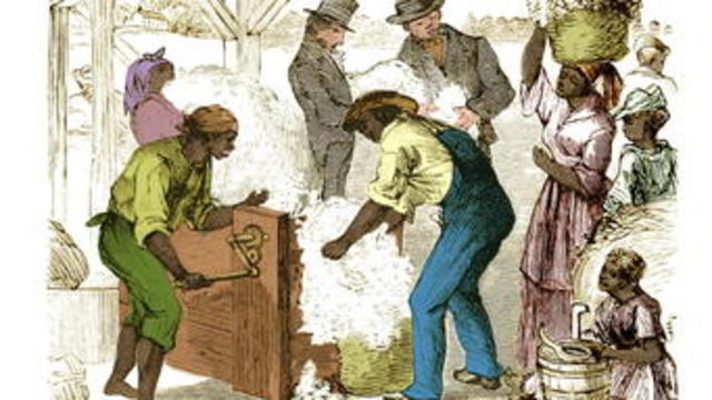 Eli Whitney and the cotton gin