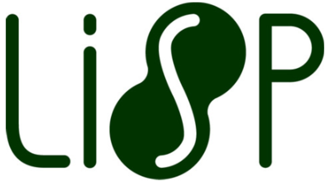 Desarrollo Lenguaje de Alto Nivel: "LISP"