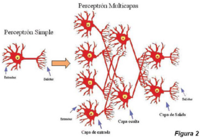 Red Tipo Perceptrón