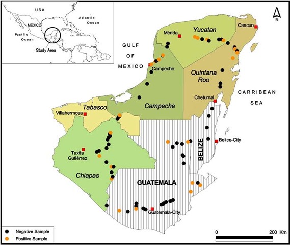 Autonomía de Guatemala