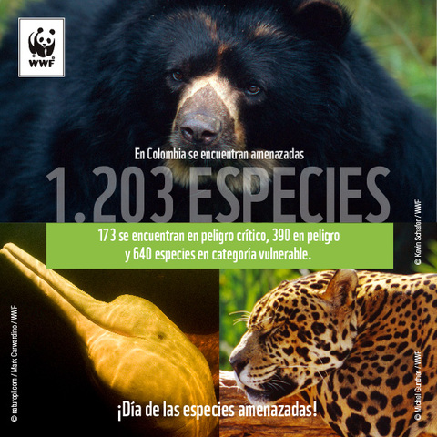 Convención sobre el comercio internacional de especies amenazadas de fauna y flora silvestres. “Convención CITES”.  Washington.