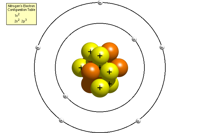 Chadwick- bohr model