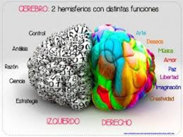 HEMISFERIOS CEREBRALES