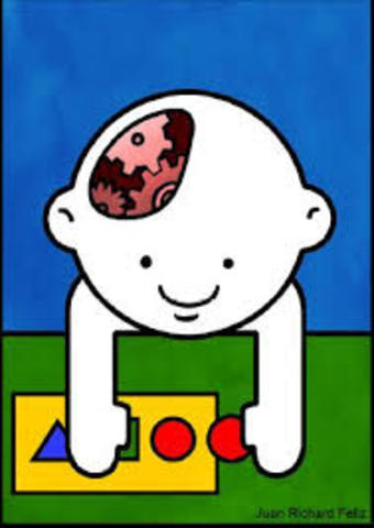 SÍNDROMES NEUROPSICOLÓGICOS