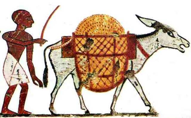 Transporte Edad Antigua - Egipto