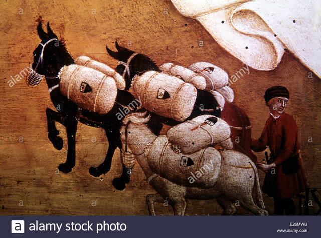 Transporte Edad Media