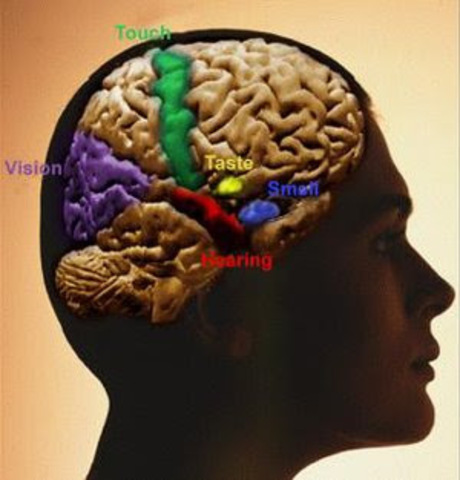 CLASIFICACIÓN DE LOS TRASTORNOS AFÁSICOS DE LURIA