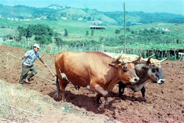 NEOLITICO 10,000 aC a 4,000 aC