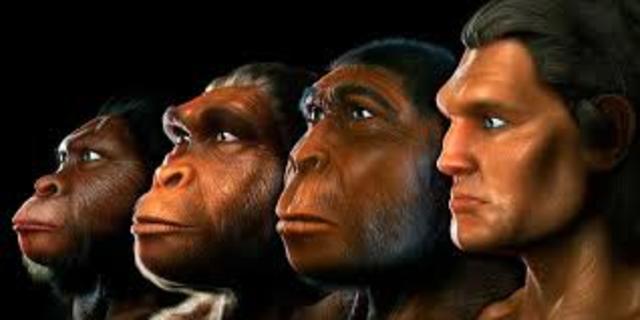 SURGIMIENTO DE LOS HOMÍNIDOS