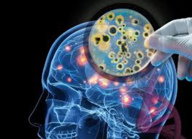 INTEGRACIÓN CONCEPTUAL