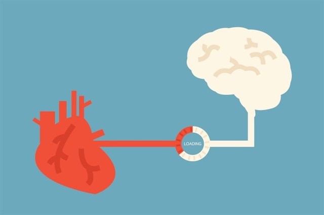 Cerebro O Corazon