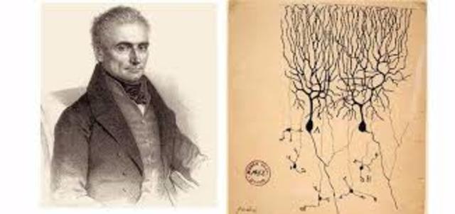 Jan evangelista Purkinje (1837)